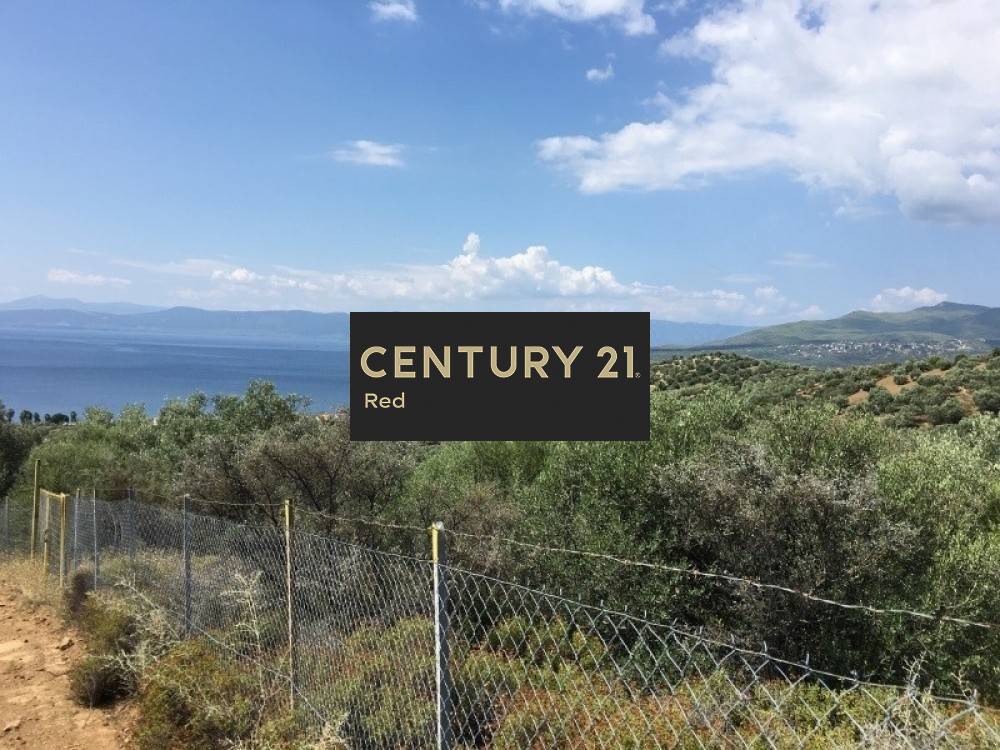 Οικόπεδο — Αιδηψός