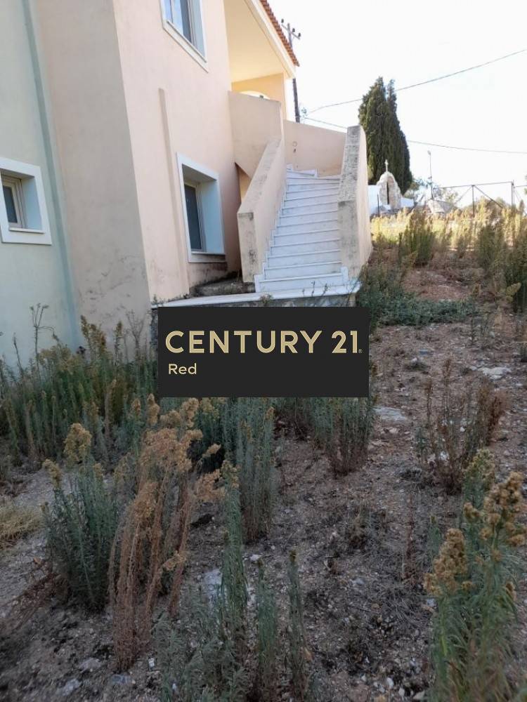 Μονοκατοικία 490 τ.μ. προς πώληση στην περιοχή Μαρκόπουλο — φωτογραφία 7