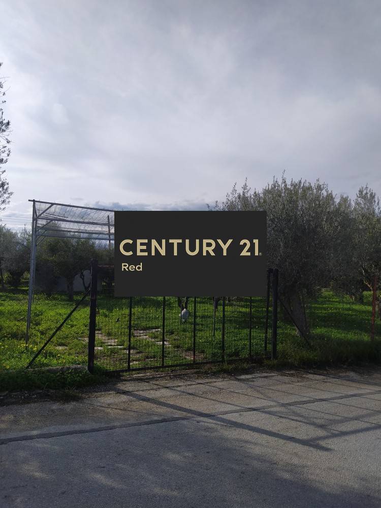 Οικόπεδο — Βέλο