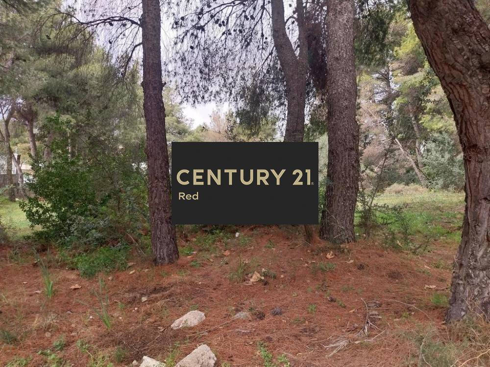 Οικόπεδο — Νέα Πεντέλη