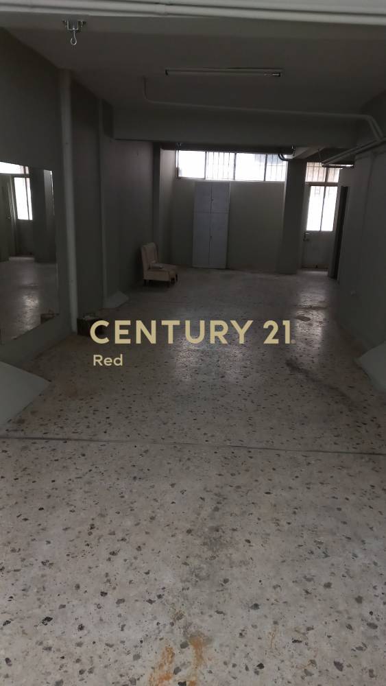 Κατάστημα — Δάφνη