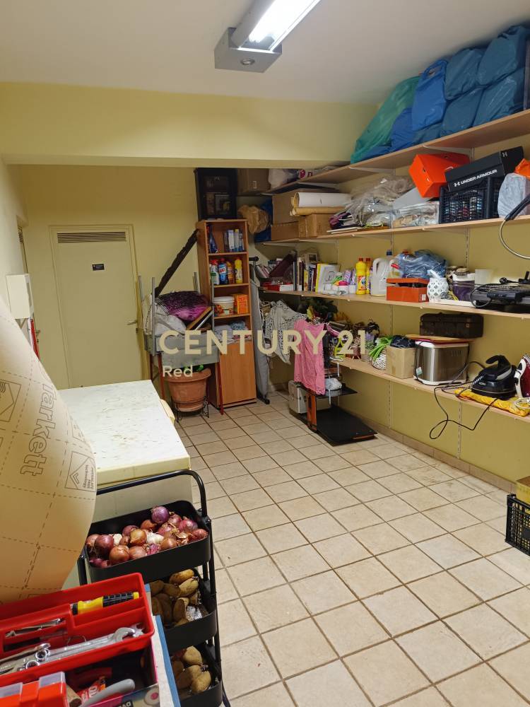 Μονοκατοικία 430 τ.μ. προς πώληση στην περιοχή Άνω Λιόσια — φωτογραφία 22