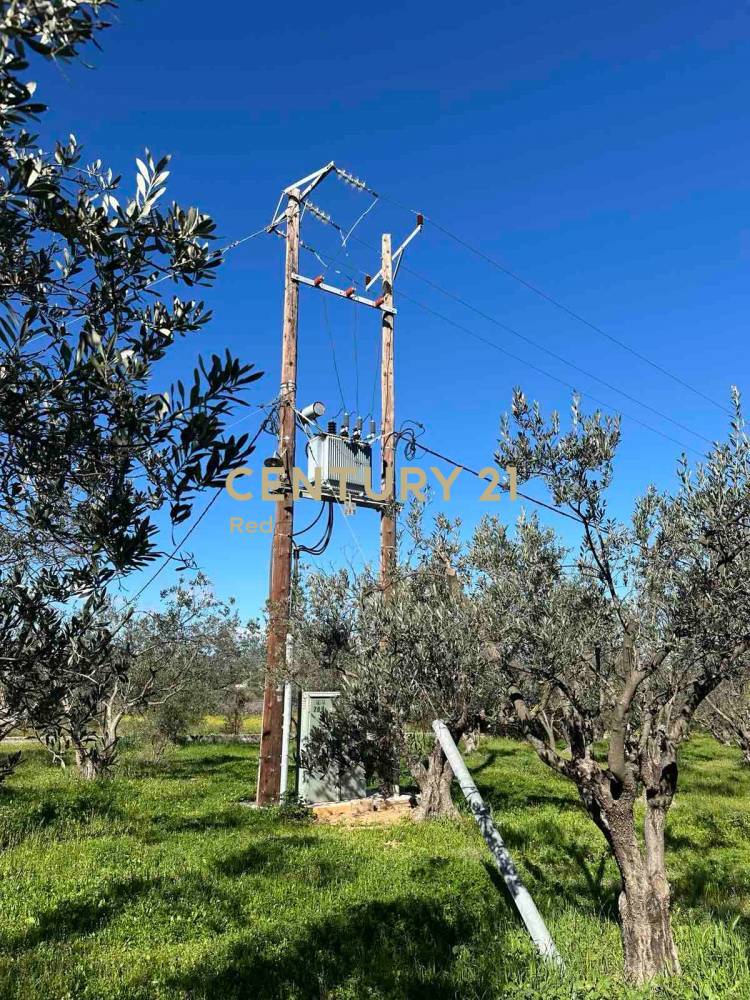 Βιομηχανικός χώρος 7.300 τ.μ. προς πώληση στην περιοχή Μαρκόπουλο — φωτογραφία 11