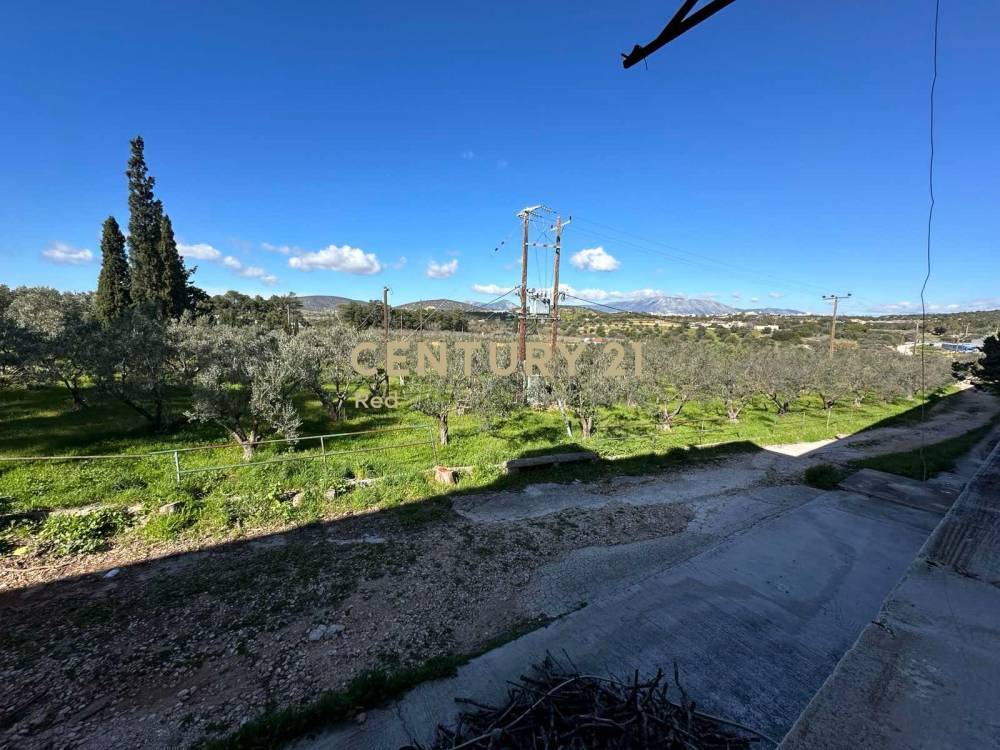 Βιομηχανικός χώρος 7.300 τ.μ. προς πώληση στην περιοχή Μαρκόπουλο — φωτογραφία 12