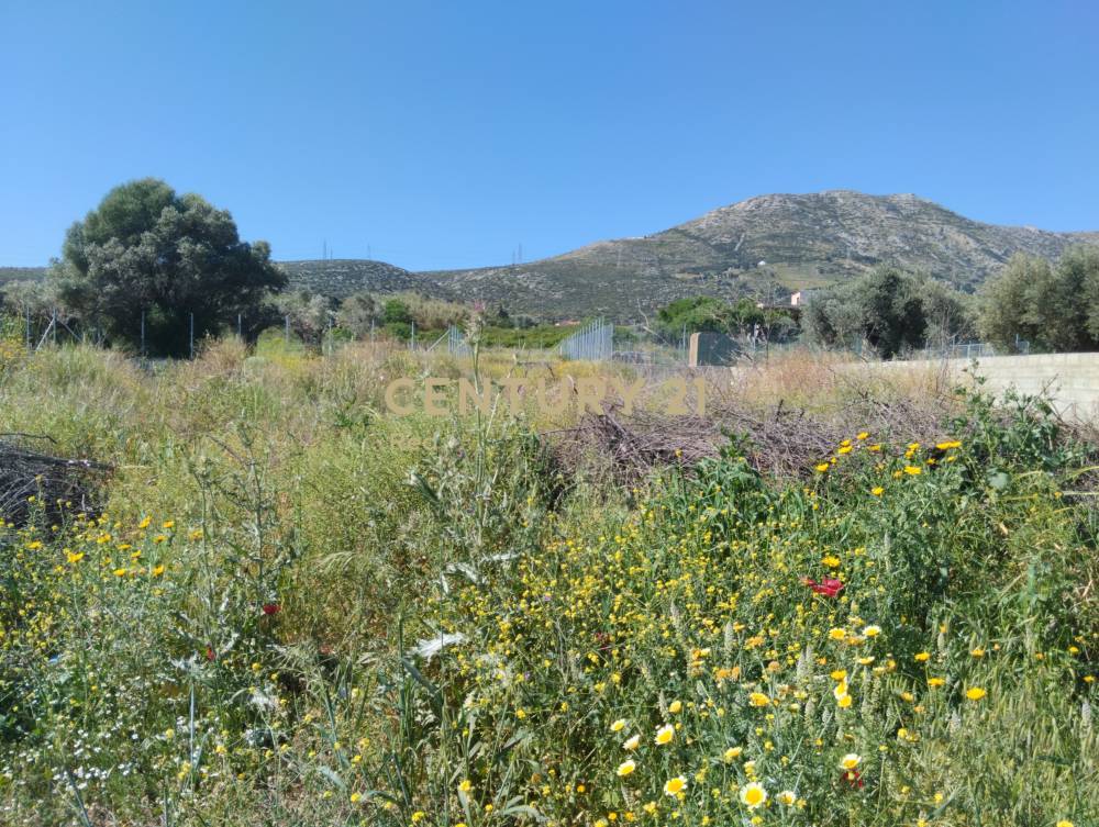 Οικόπεδο — Κερατέα
