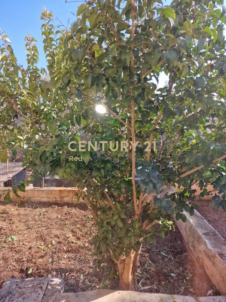 Μονοκατοικία 90 τ.μ. προς πώληση στην περιοχή Πέραμα — φωτογραφία 12