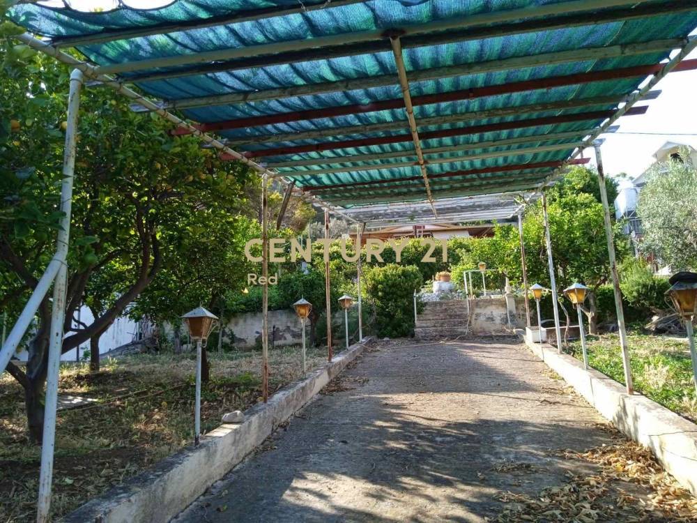 Οικόπεδο — Αλεποχώρι