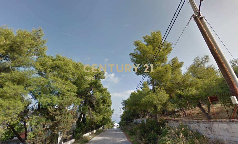 Αγροτεμάχιο — Σαλαμίνα