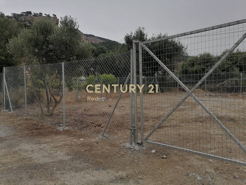 Οικόπεδο — Αλεποχώρι
