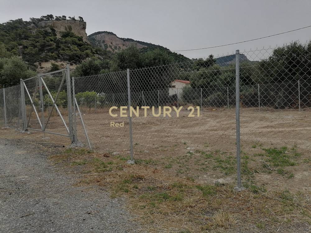 Οικόπεδο — Αλεποχώρι
