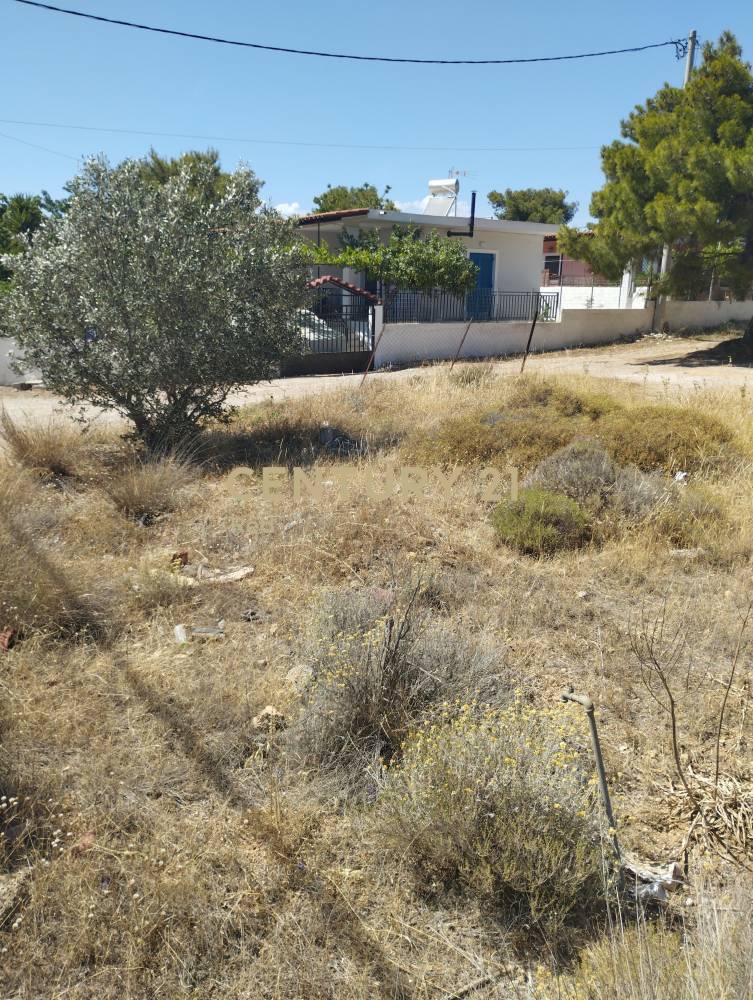 Οικόπεδο — Σαλαμίνα