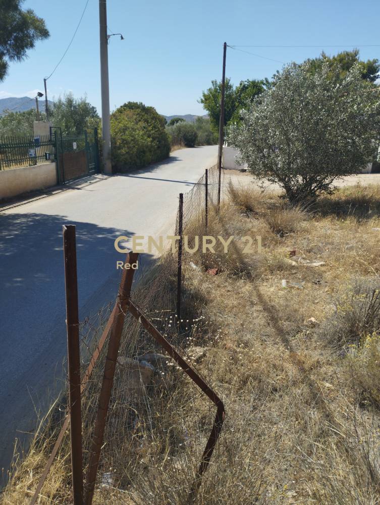 Οικόπεδο στην περιοχή Σαλαμίνα — φωτογραφία 5