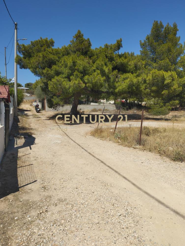 Οικόπεδο 404 τ.μ. προς πώληση στην περιοχή Σαλαμίνα — φωτογραφία 6