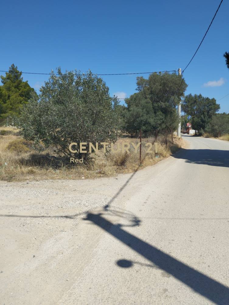 Οικόπεδο 404 τ.μ. προς πώληση στην περιοχή Σαλαμίνα — φωτογραφία 7