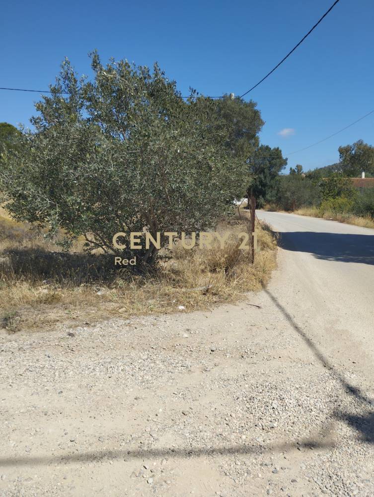 Οικόπεδο 404 τ.μ. προς πώληση στην περιοχή Σαλαμίνα — φωτογραφία 8