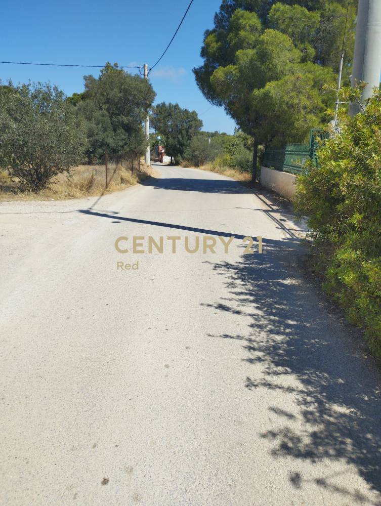 Οικόπεδο 404 τ.μ. προς πώληση στην περιοχή Σαλαμίνα — φωτογραφία 9