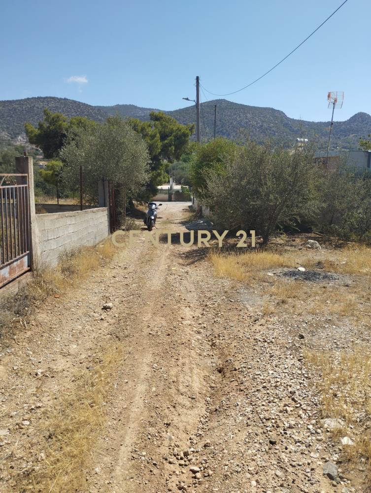 Οικόπεδο — Σαλαμίνα