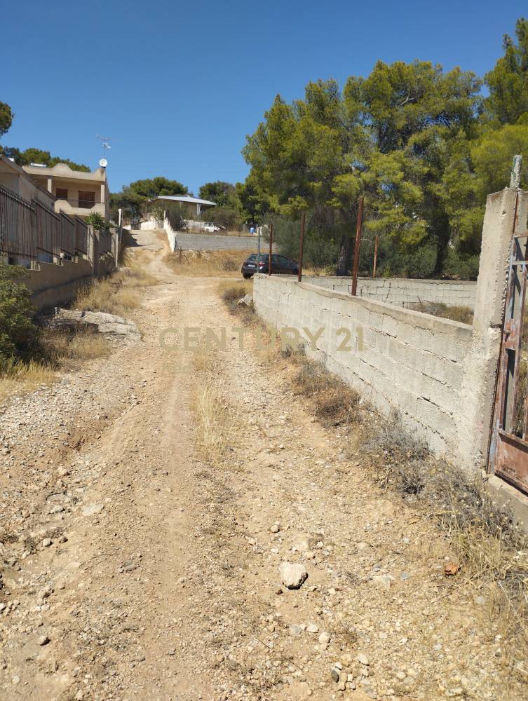 Οικόπεδο — Σαλαμίνα
