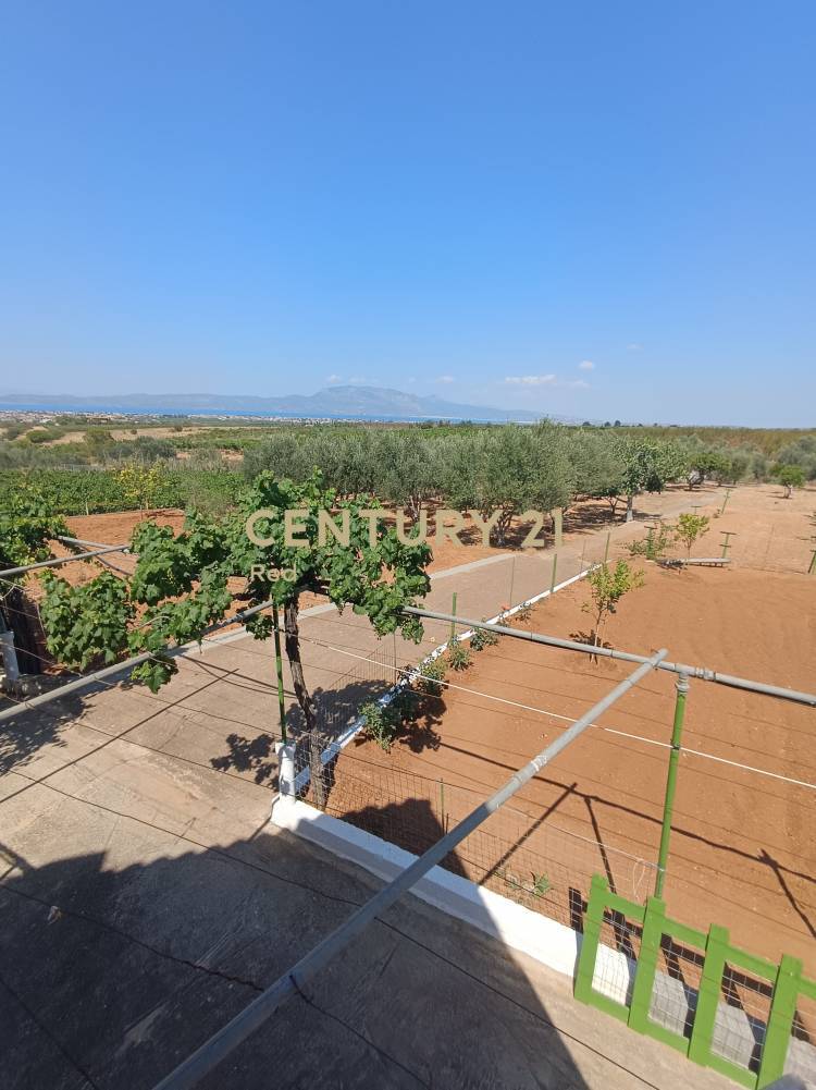 Μονοκατοικία 516 τ.μ. προς πώληση στην περιοχή Βόχα — φωτογραφία 20