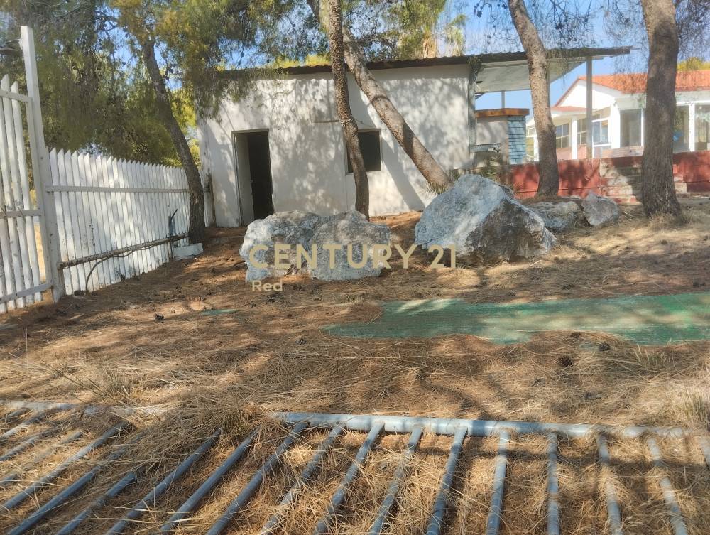 Επαγγελματικό κτίριο — Μέγαρα