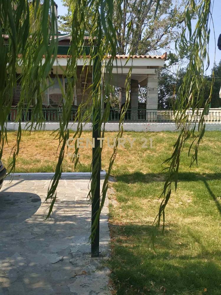 Μονοκατοικία 700 τ.μ. προς πώληση στην περιοχή Δαφνούσες — φωτογραφία 6