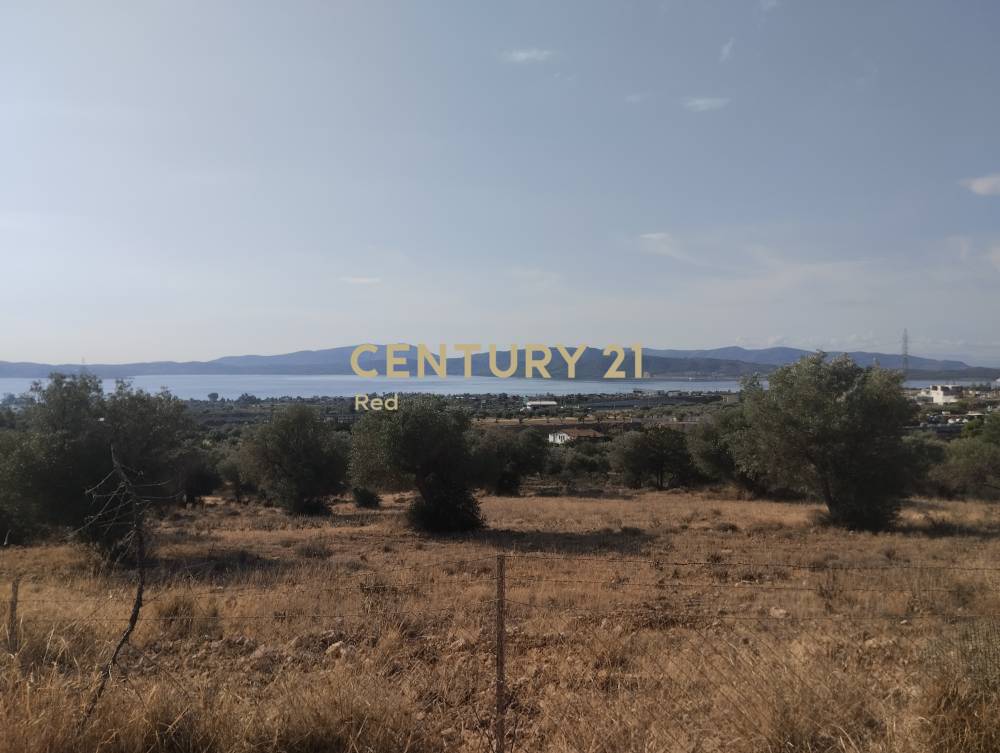 Μονοκατοικία 114 τ.μ. προς πώληση στην περιοχή Νέα Πέραμος (Μεγάλο Πεύκο, 0) — φωτογραφία 8