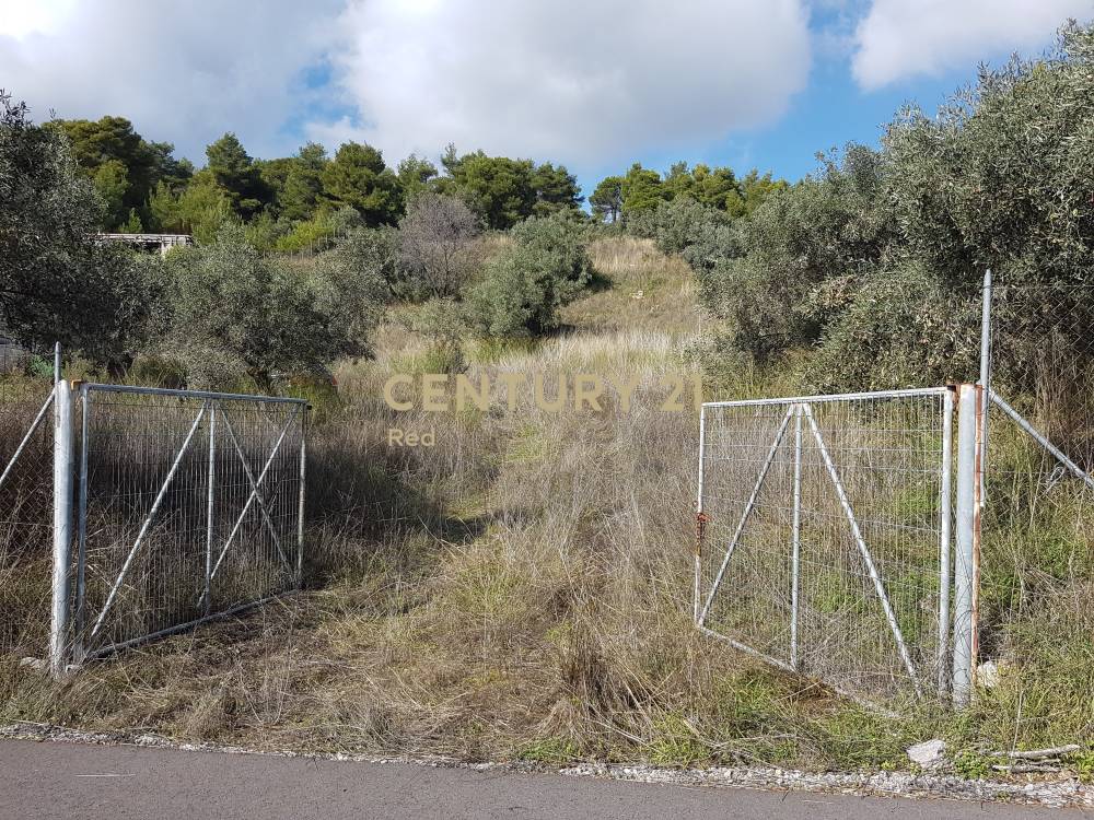 Αγροτεμάχιο — Αφίδνες
