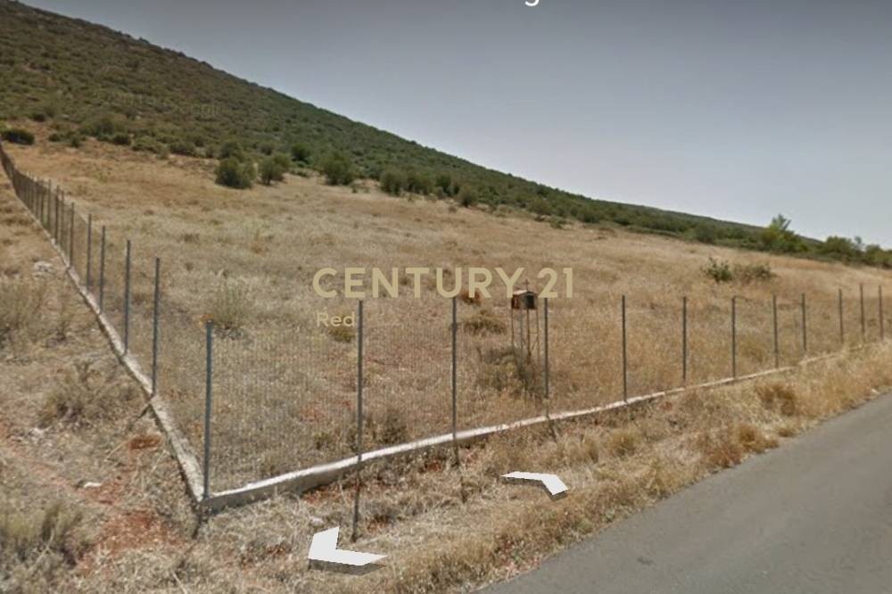 Αγροτεμάχιο — Θήβα