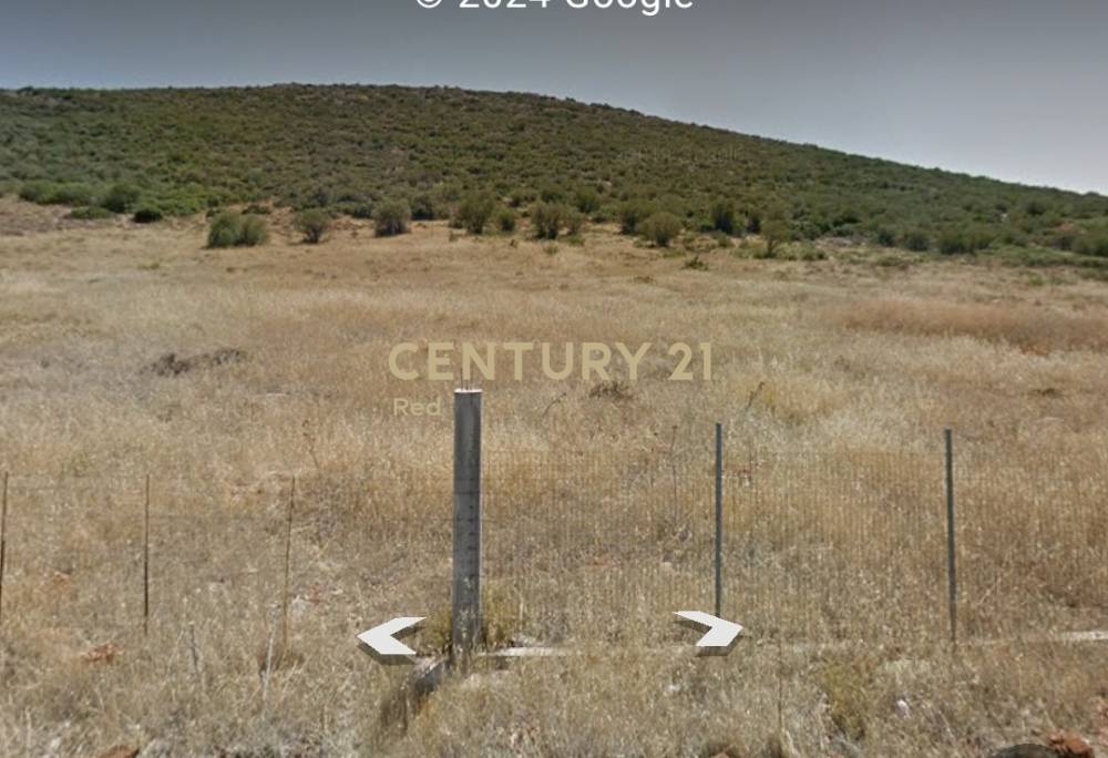 Αγροτεμάχιο στην περιοχή Θήβα — φωτογραφία 5