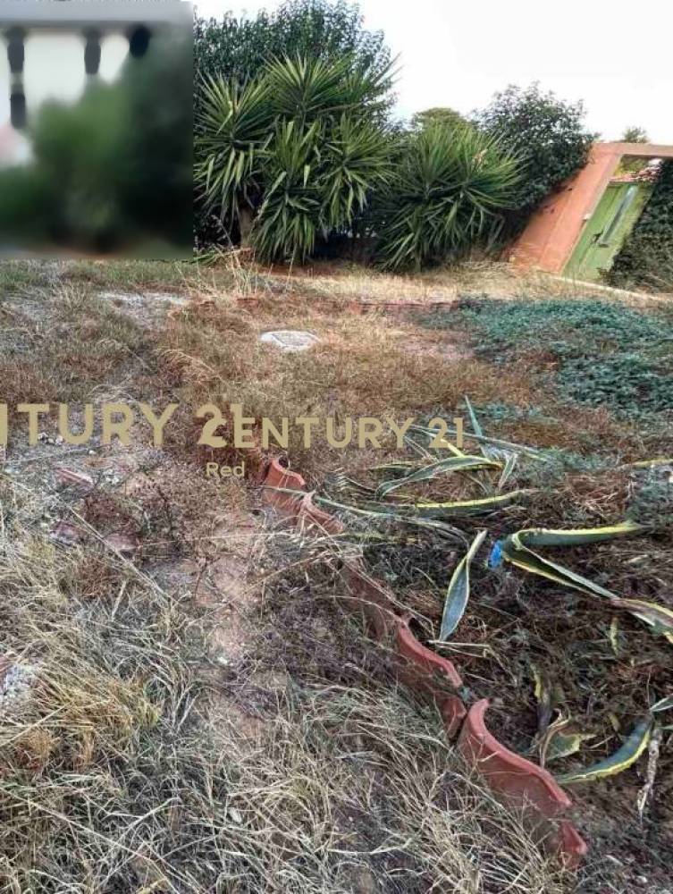 Μονοκατοικία 250 τ.μ. προς πώληση στην περιοχή Αρτέμιδα (Λούτσα, 0) — φωτογραφία 29