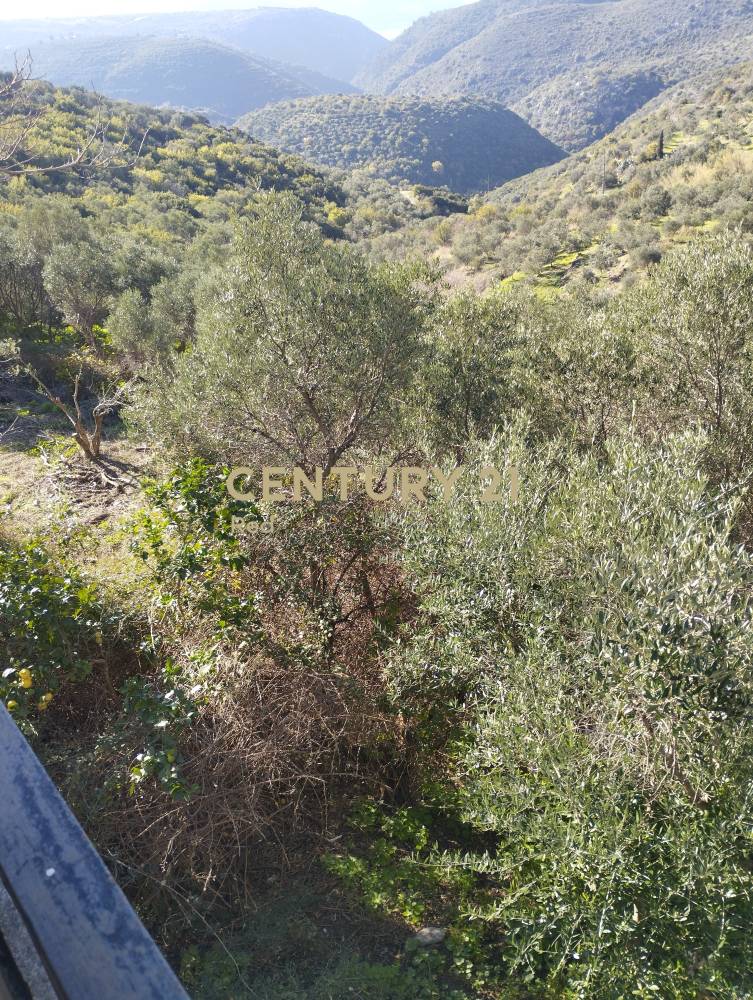 Μονοκατοικία 190 τ.μ. προς πώληση στην περιοχή Οίτυλος — φωτογραφία 28