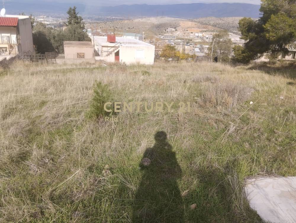 Αγροτεμάχιο στην περιοχή Ασπρόπυργος — φωτογραφία 4