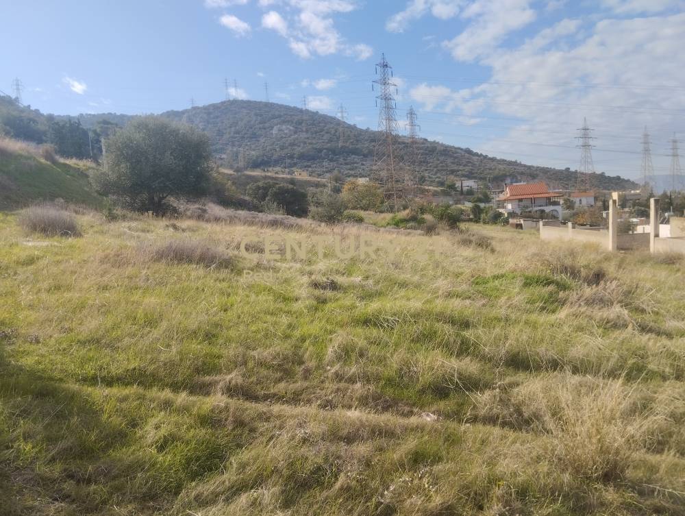 Αγροτεμάχιο στην περιοχή Ασπρόπυργος — φωτογραφία 5