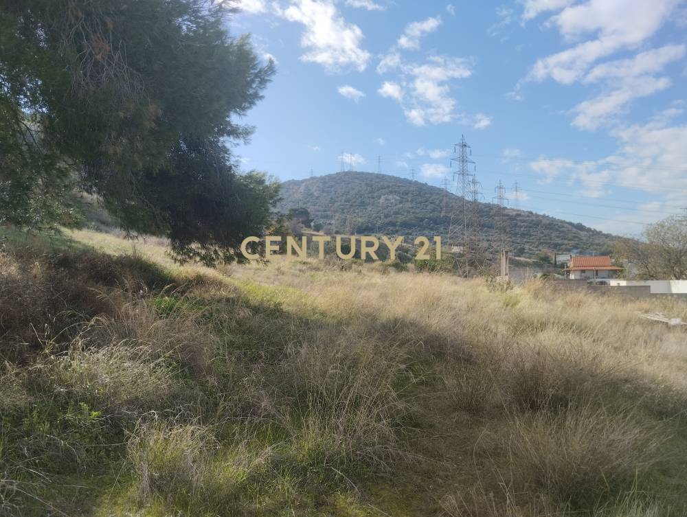 Αγροτεμάχιο στην περιοχή Ασπρόπυργος — φωτογραφία 2