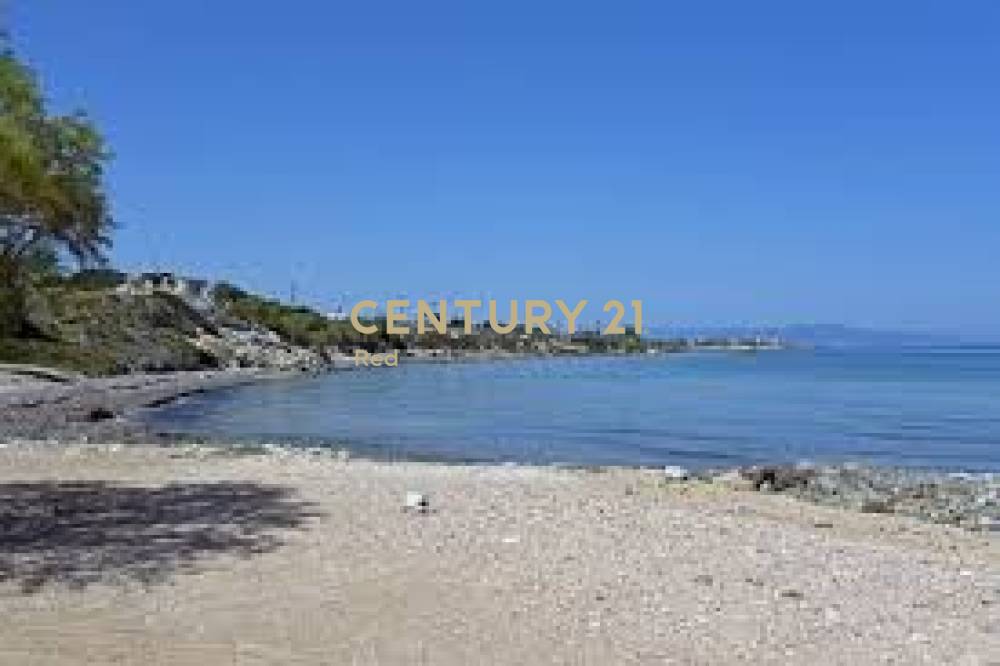 Οικόπεδο — Αίγινα