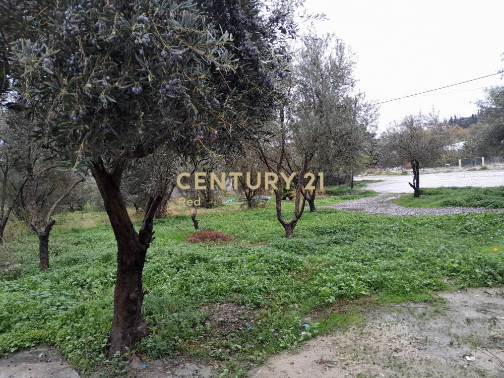 Μονοκατοικία 190 τ.μ. προς πώληση στην περιοχή Ξυλόκαστρο — φωτογραφία 25