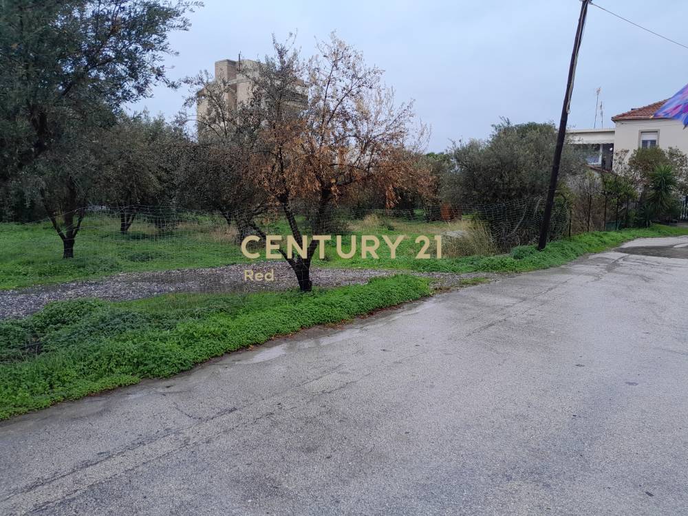 Μονοκατοικία 190 τ.μ. προς πώληση στην περιοχή Ξυλόκαστρο — φωτογραφία 29
