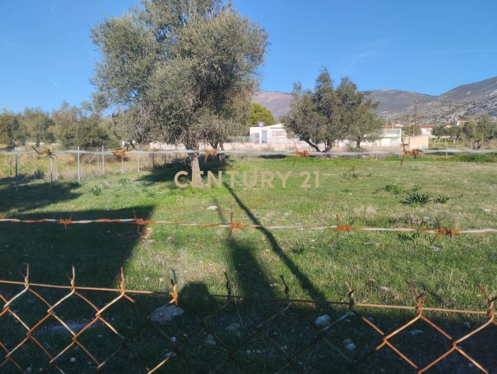 Αγροτεμάχιο — Μέγαρα