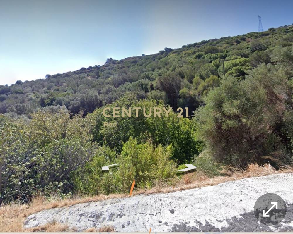 Αγροτεμάχιο — Κάρυστος