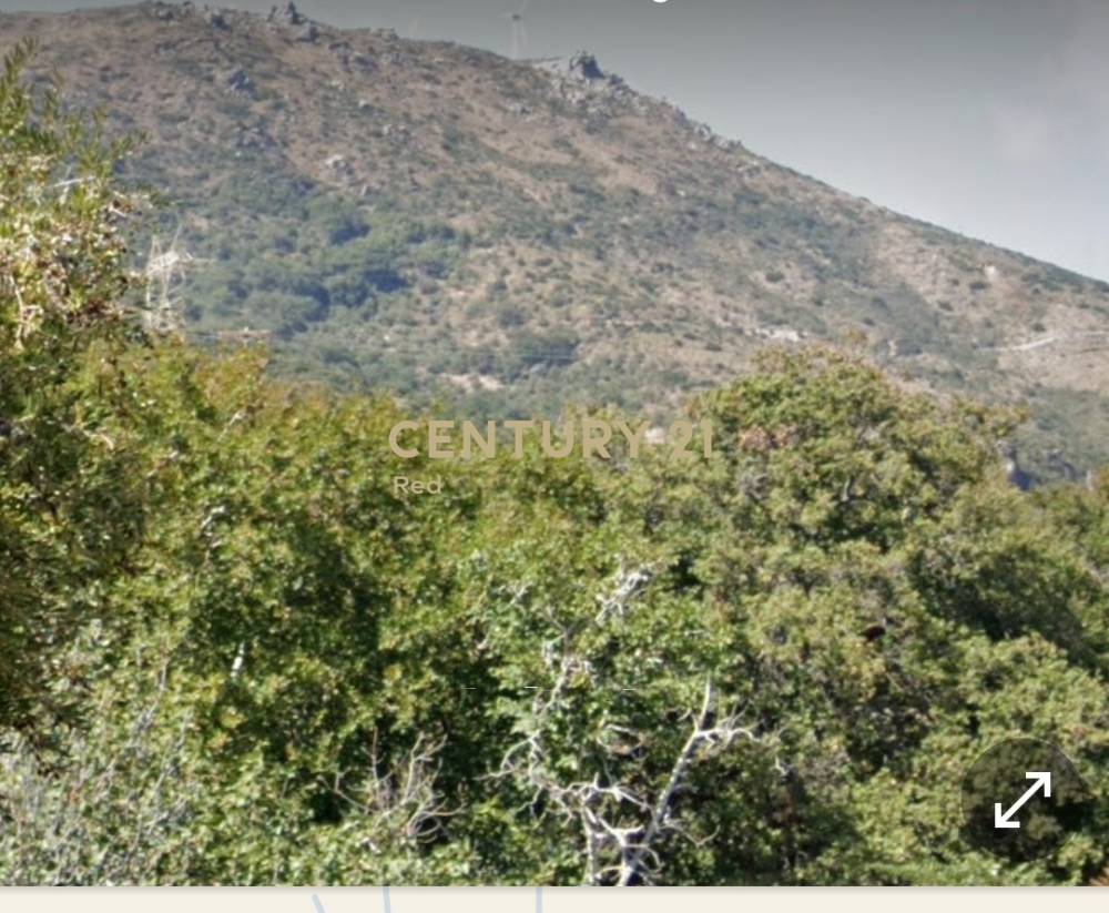 Αγροτεμάχιο — Κάρυστος