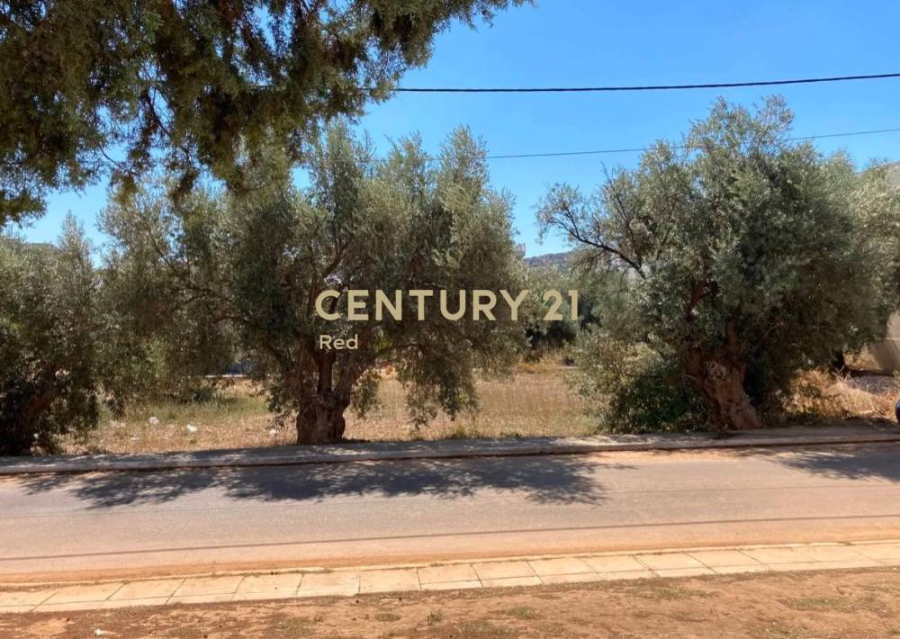 Οικόπεδο — Άνω Λιόσια