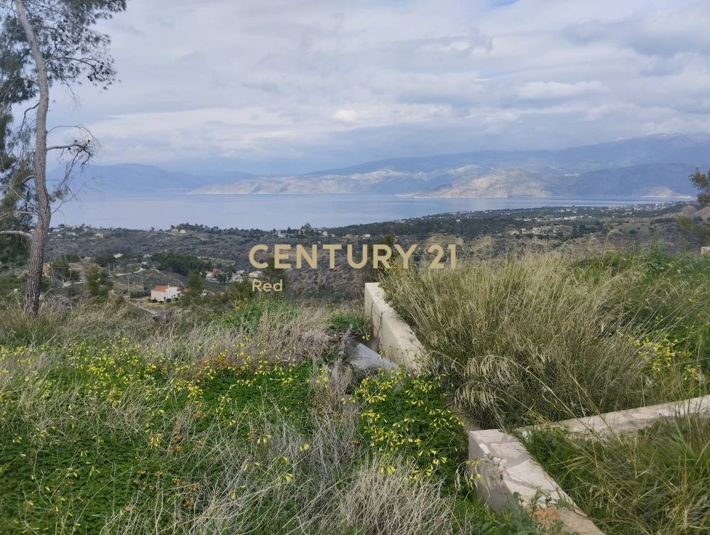 Μονοκατοικία 330 τ.μ. προς πώληση στην περιοχή Αλεποχώρι — φωτογραφία 26