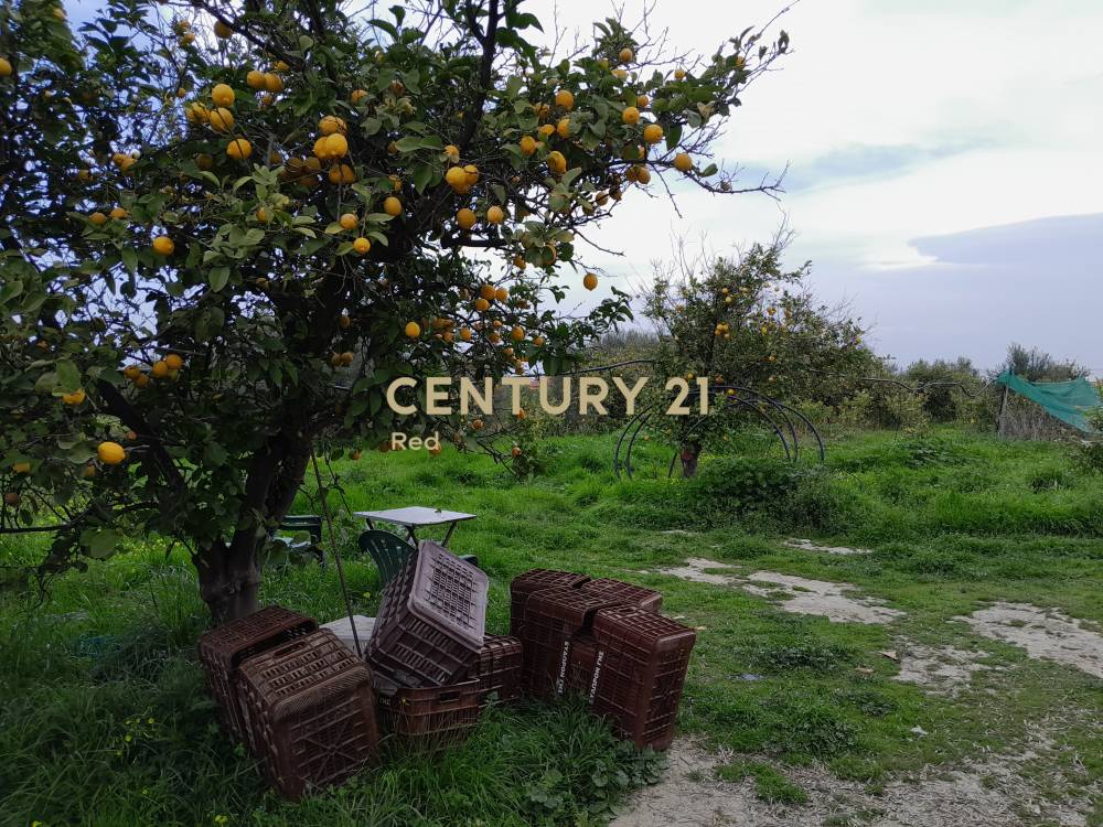 Οικόπεδο 10.370 τ.μ. προς πώληση στην περιοχή Ξυλόκαστρο — φωτογραφία 20