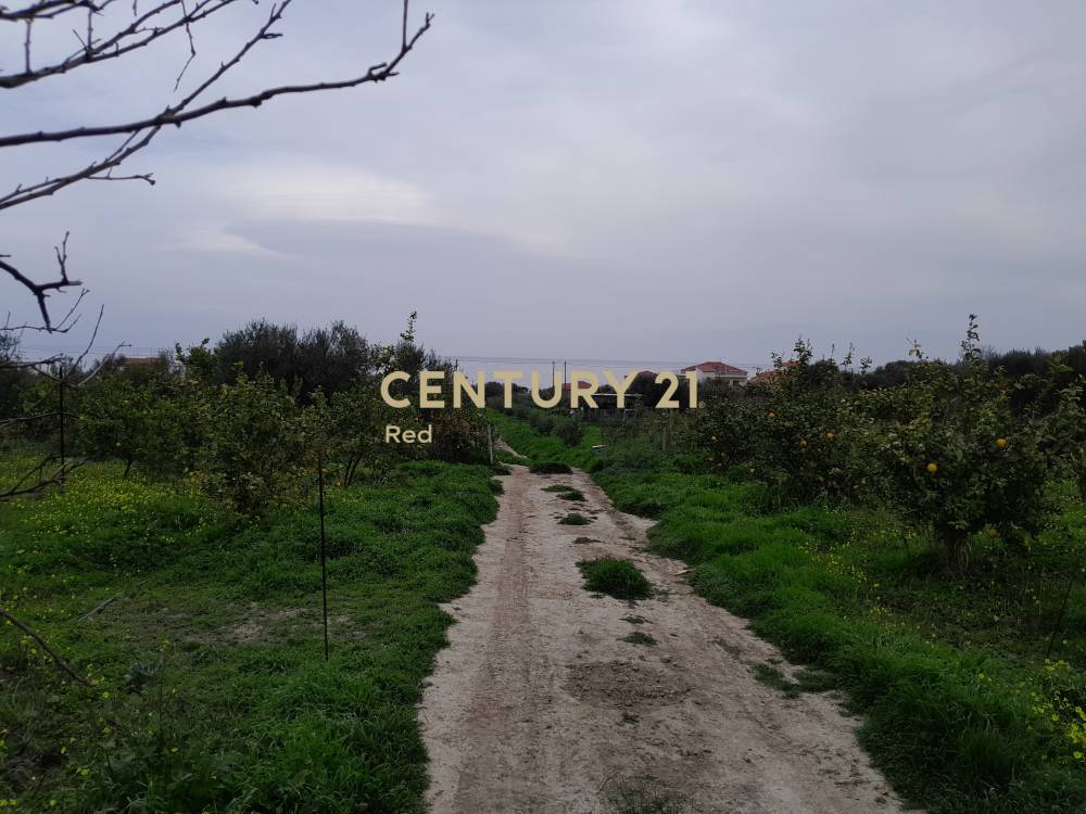 Οικόπεδο 10.370 τ.μ. προς πώληση στην περιοχή Ξυλόκαστρο — φωτογραφία 9
