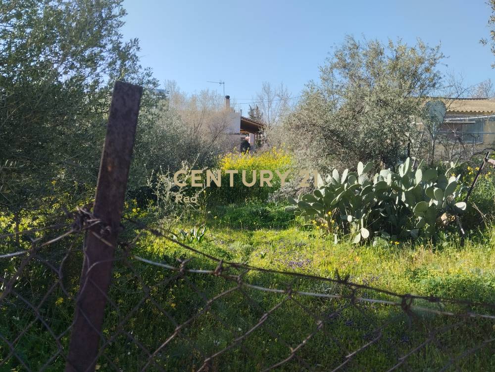 Οικόπεδο στην περιοχή Μαγούλα — φωτογραφία 5