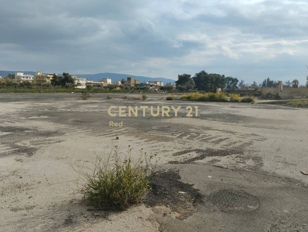 Οικόπεδο — Ασπρόπυργος