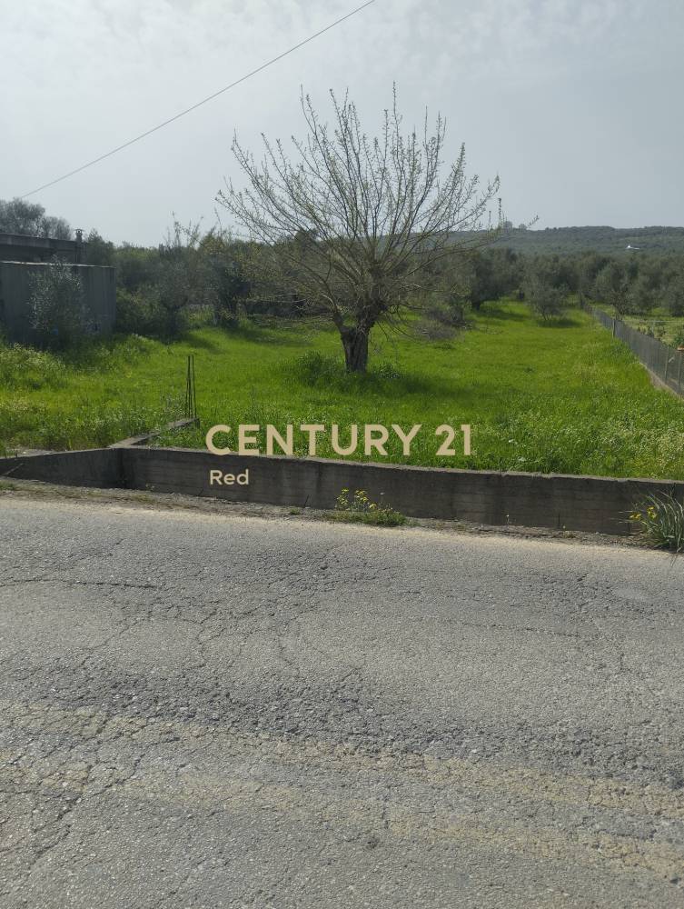 Οικόπεδο — Μεσσήνη