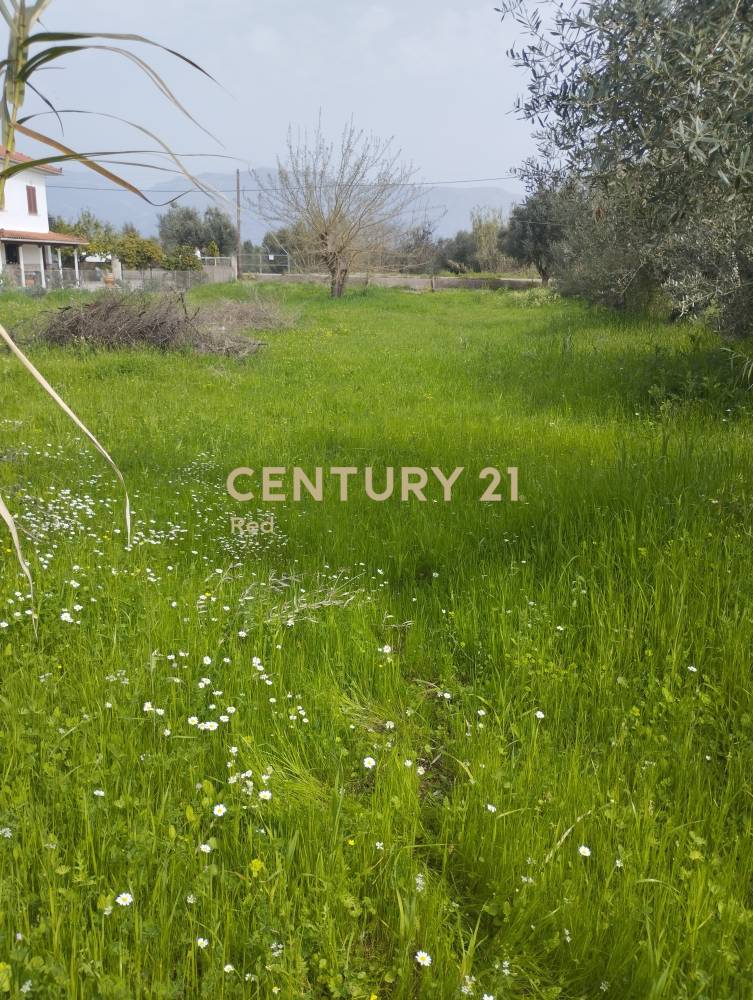 Οικόπεδο στην περιοχή Μεσσήνη — φωτογραφία 2