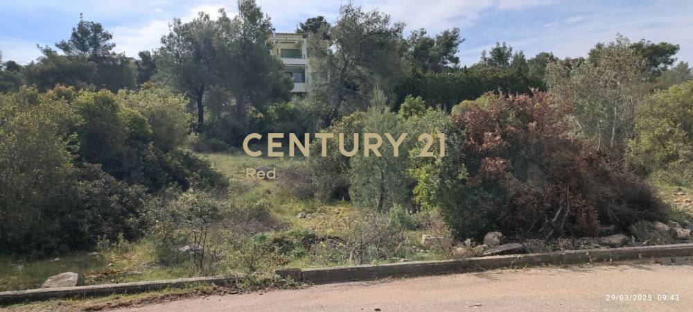 Οικόπεδο στην περιοχή Μαλεσίνα — φωτογραφία 4