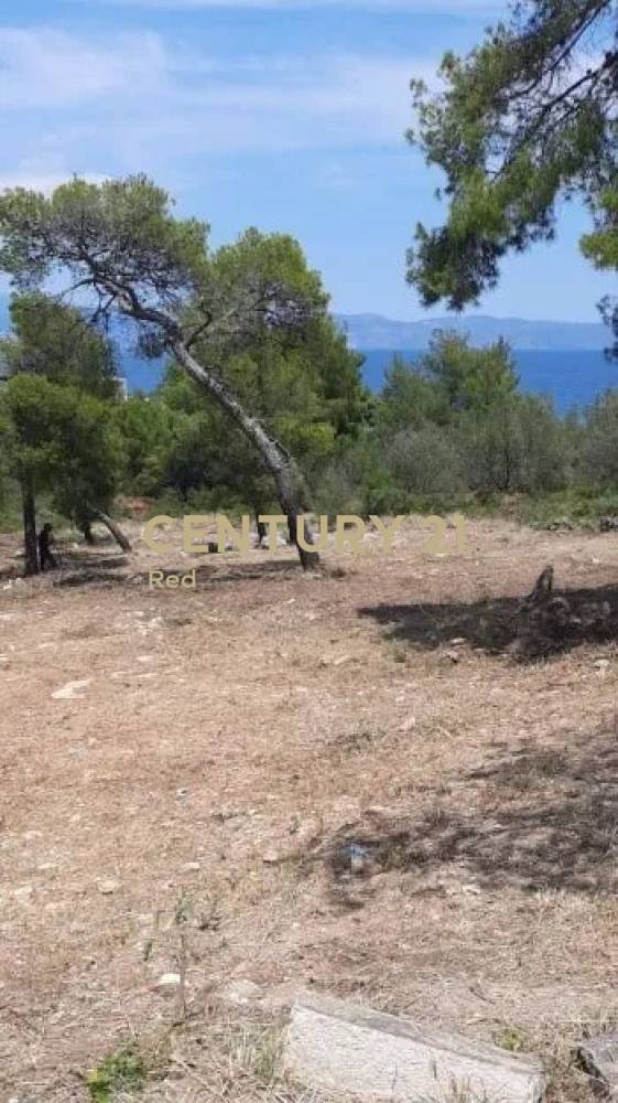Οικόπεδο — Μαλεσίνης